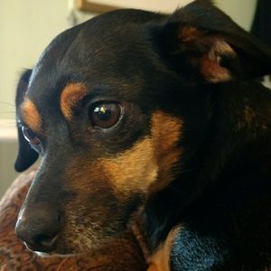 Meet your Posher, John